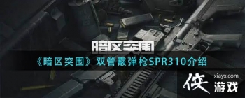 ������ͻΧ��˫������ǹSPR310����