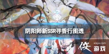 ����ʦ��SSRѰ����ͼ͸