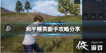 ��ƽ��Ӣ���ּ��ɷ���