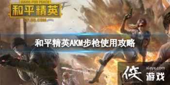 ��ƽ��ӢAKM��ǹʹ�ù���