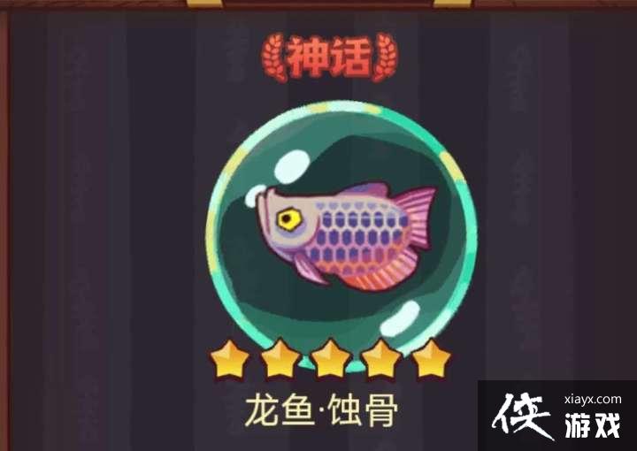 咸鱼之王龙鱼蚀骨搭配推荐