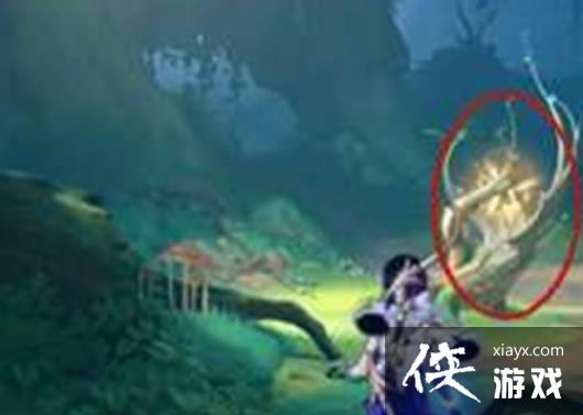 原神水天丛林怎么调节天气