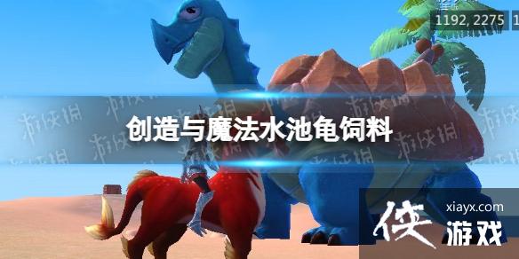 创造与魔法水池龟饲料 创造与魔法水池龟饲料