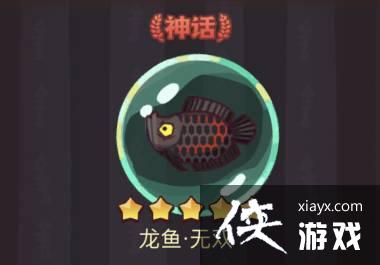 咸鱼之王龙鱼无双搭配推荐