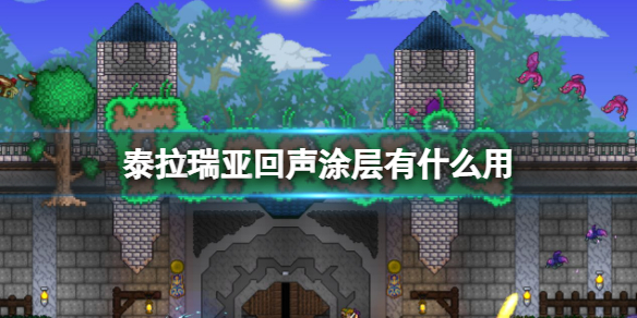 ̩�����ǻ���Ϳ����ʲô��