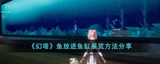 ����������Ž����չ����������