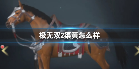 ����˫2������ô��