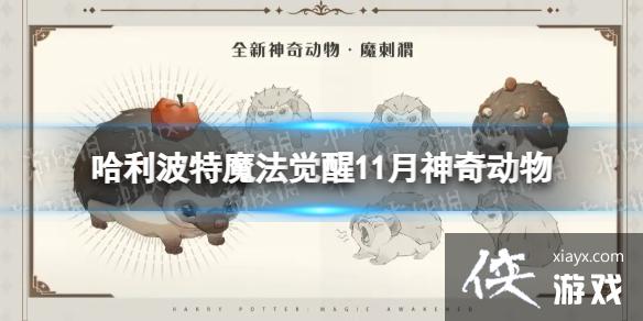 ��������ħ������11�����涯��