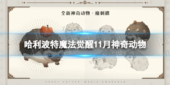 ��������ħ������11�����涯��