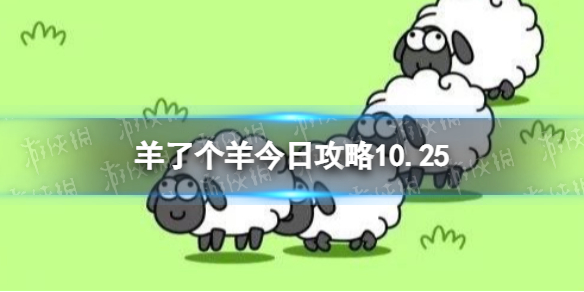 ���˸�����չ���10.25