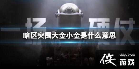 暗区突围大金小金是什么意思 暗区突围大金小金是什么意思