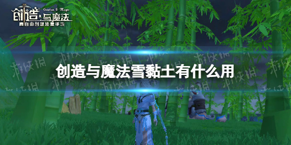 ������ħ��ѩ�����ʲô��