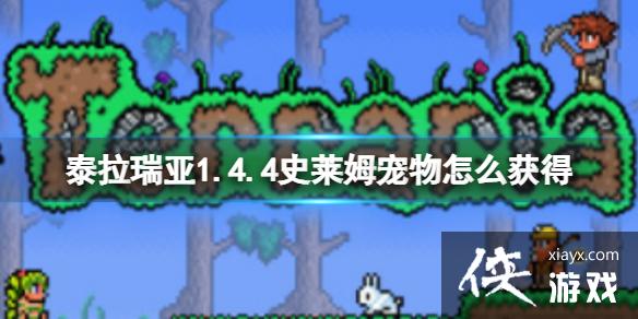 泰拉瑞亚1.4.4史莱姆宠物怎么获得