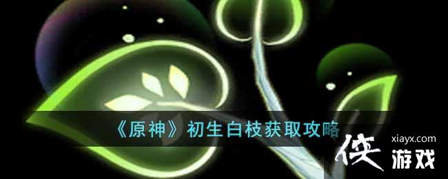 《原神》初生白枝获取攻略