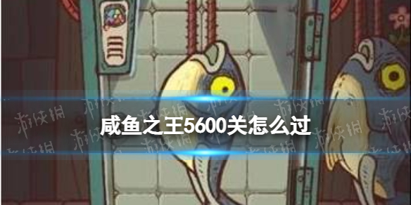 ����֮��5600����ô��