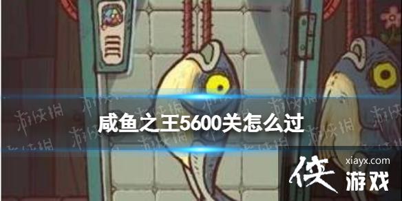 ����֮��5600����ô��