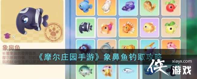 《摩尔庄园手游》象鼻鱼钓取攻略