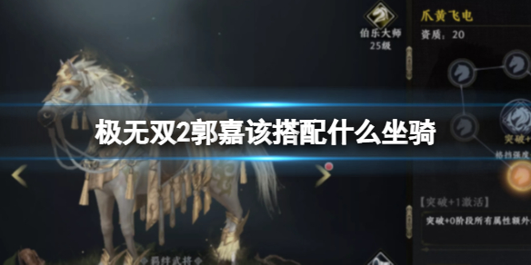 ����˫2���������