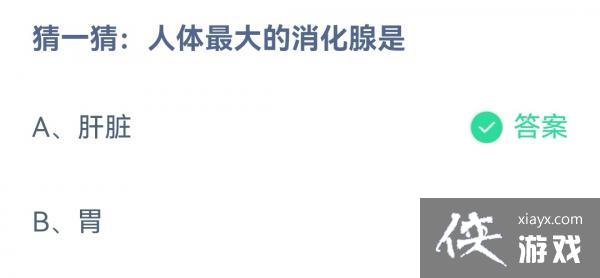 ��֧����������ׯ԰11��12�մ�����2022