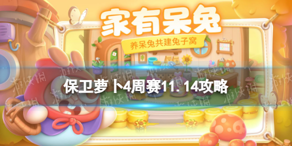 �����ܲ�4����11.14����