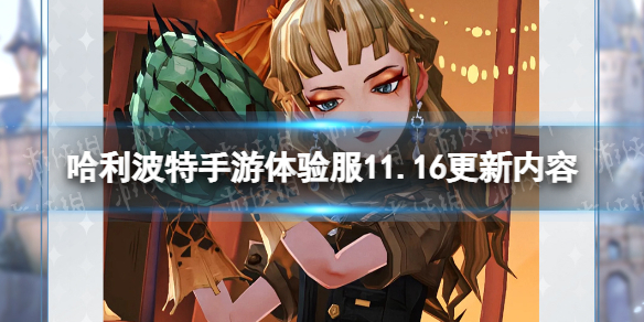 ��������ħ�����������11.16��������