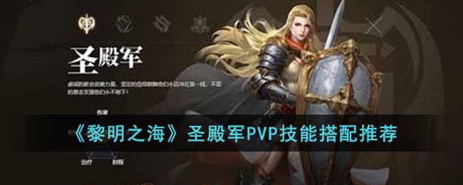 ������֮����ʥ���PVP���ܴ����Ƽ�