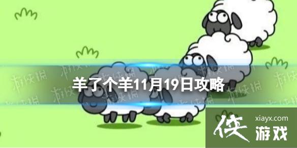 ���˸���11��19�չ���