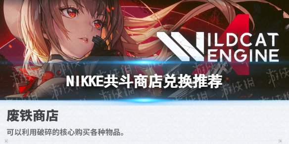 NIKKEʤ��Ů�񹲶��̵�һ��Ƽ�