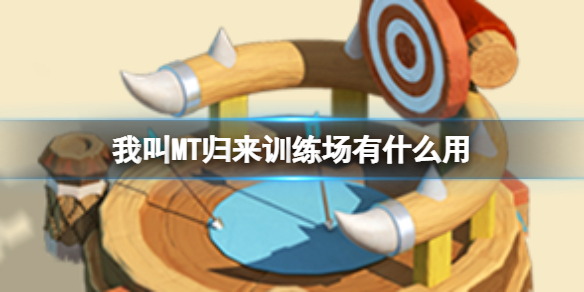 �ҽ�MT����ѵ������ʲô��