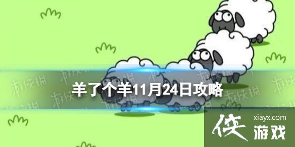 ���˸���11��24�չ���