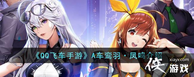 ��QQ�ɳ����Ρ�A����𡤷�������