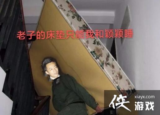 ����������С�Ʊ�������������