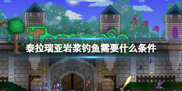 ̩�������ҽ�������Ҫʲô����