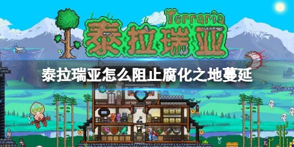 ̩��������ô��ֹ����֮������