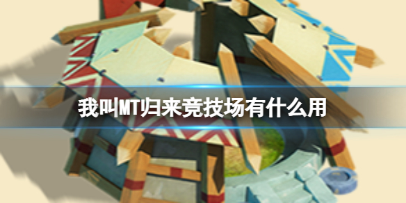 �ҽ�MT������������ʲô��