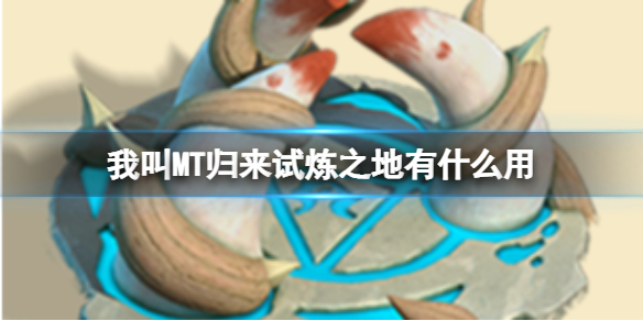 �ҽ�MT��������֮����ʲô��