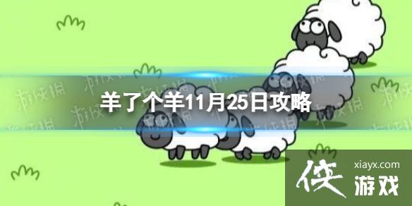 ���˸���11��25�չ���