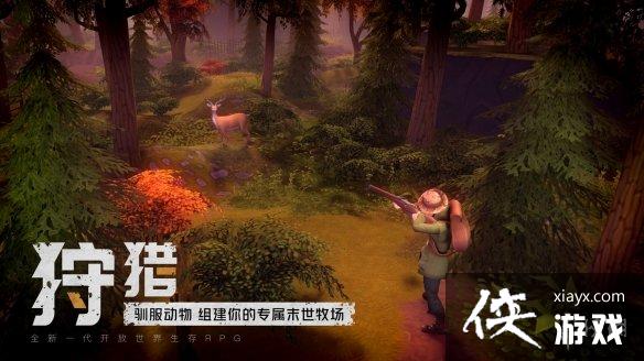 �ҵ�ˮ��������������