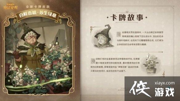 ��������ħ������12����ҵ��Ƥ