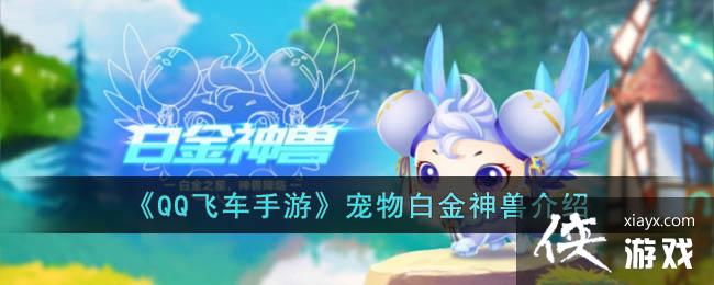 ��QQ�ɳ����Ρ�����׽����޽���