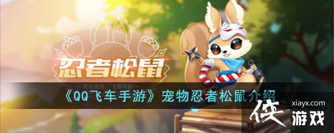 ��QQ�ɳ����Ρ����������������