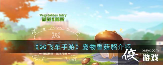 ��QQ�ɳ����Ρ������㹽������