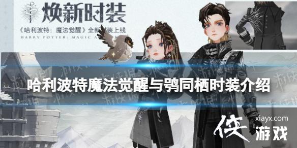 哈利波特魔法觉醒与鸮同栖时装介绍 哈利波特魔法觉醒与鸮同栖时装介绍