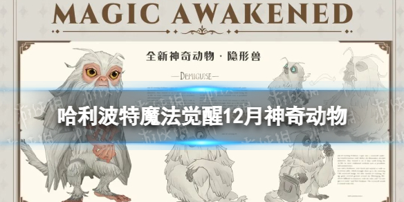 ��������ħ������12�����涯��