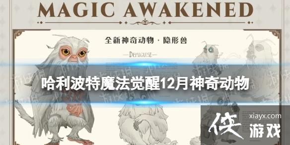 哈利波特魔法觉醒12月神奇动物 哈利波特魔法觉醒12月神奇动物