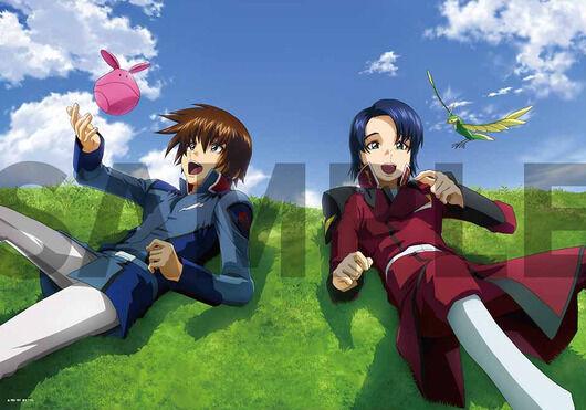 �����20���� ���ߴ�SEED���ٷ�������ȷ��2023��4�·���