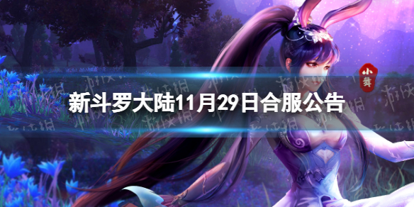 �¶��޴�½11��29�պϷ�����