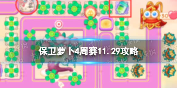 �����ܲ�4����11.29����