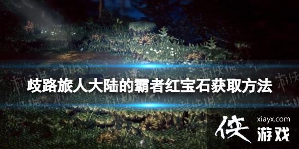 ��·���˴�½�İ��ߺ챦ʯ��ȡ����