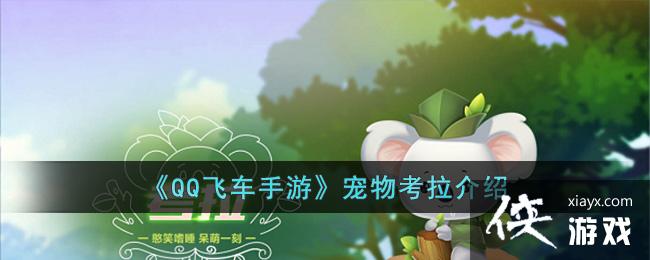 ��QQ�ɳ����Ρ����￼������